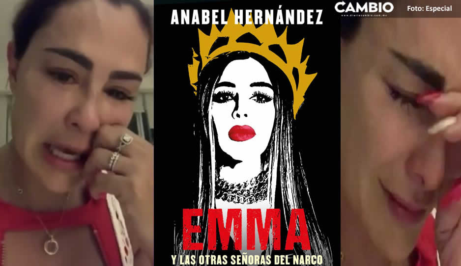 Niega Ninel Conde conexión con el narco: lo que tengo es a base de trabajo y esfuerzo (VIDEO)
