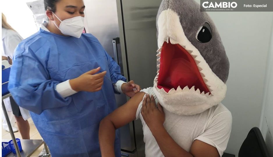 FOTOS: Tiburón se vacuna en Cholula, millennial causa sensación por su original disfraz