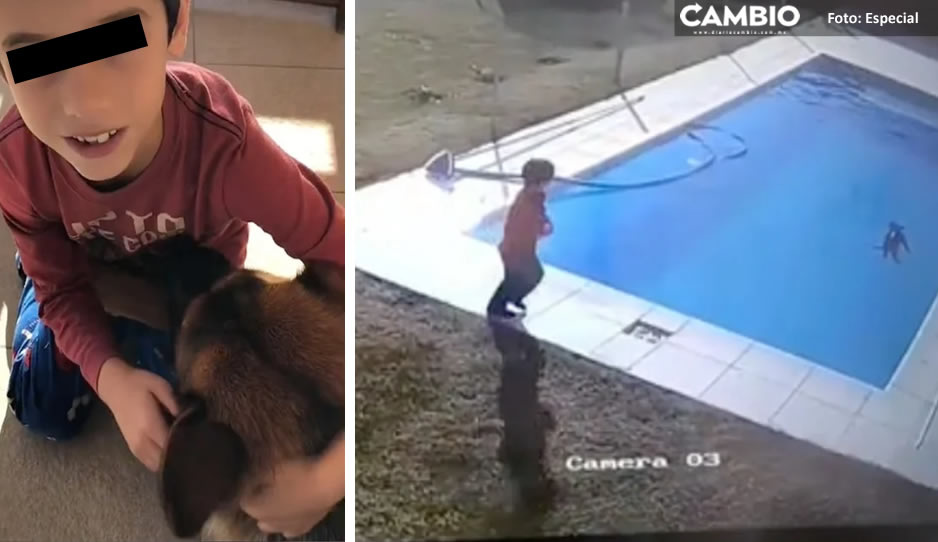VIDEO: Niño se viste de héroe y salva a su lomito de morir ahogado en una alberca
