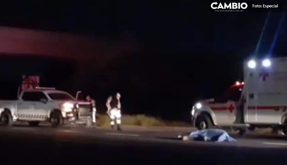 Murió al instante; ciclista ebrio es embestido por una patrulla de la GN en autopista Cuacnopalan-Oaxaca