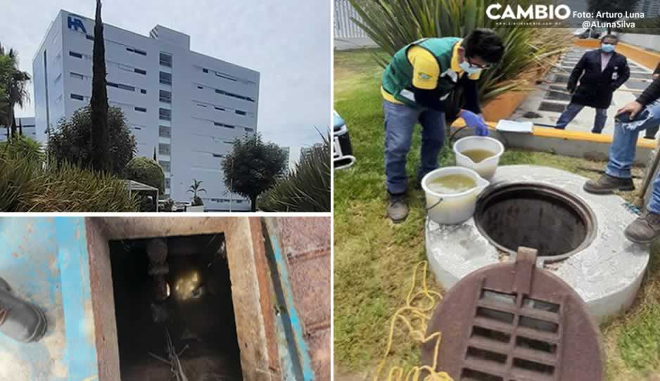 ¡No qué muy fifís! Hospital Ángeles contamina con aguas negras (FOTOS)