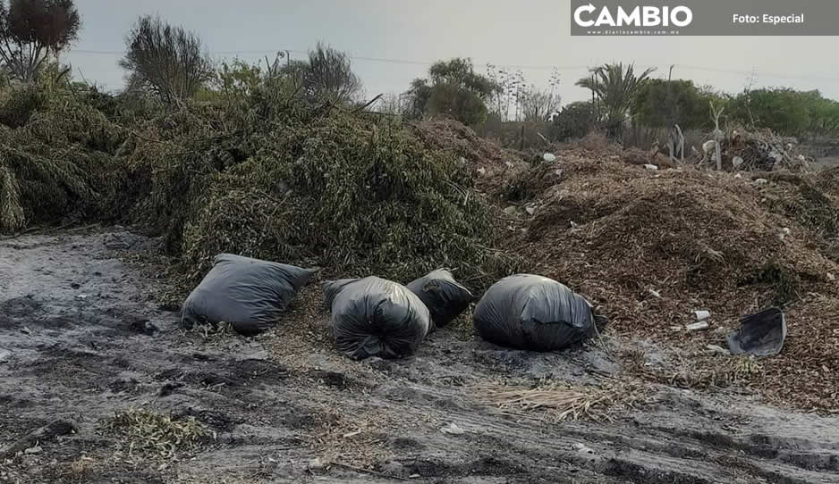¡Tepole avaricioso! Aumentan precio de parque El Riego en Tehuacán a pesar de pésimas condiciones