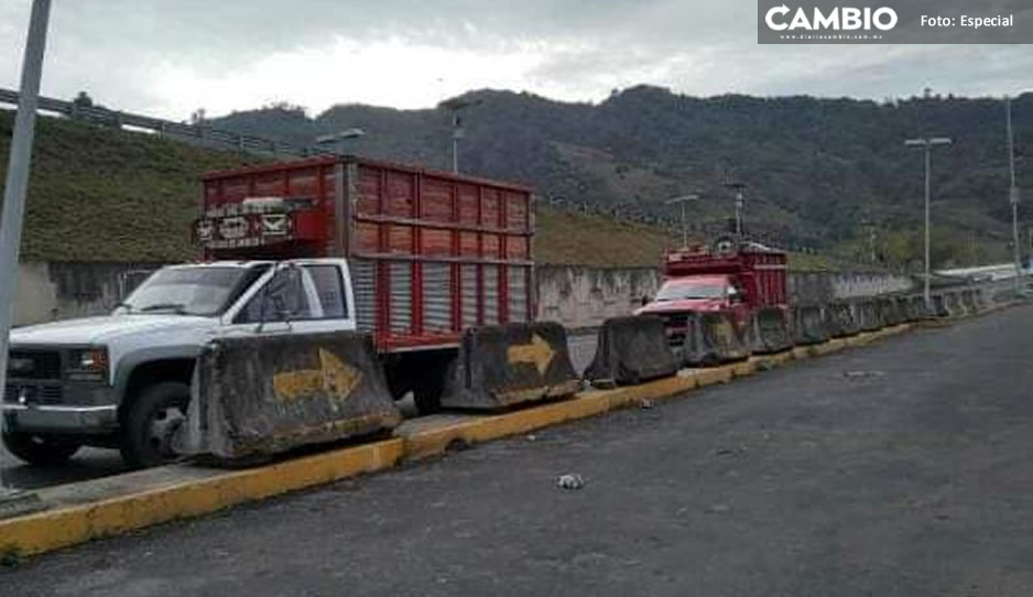 Apicultores denuncian robo de camionetas con cientos de abejas en la federal San Hipólito vía Xalapa