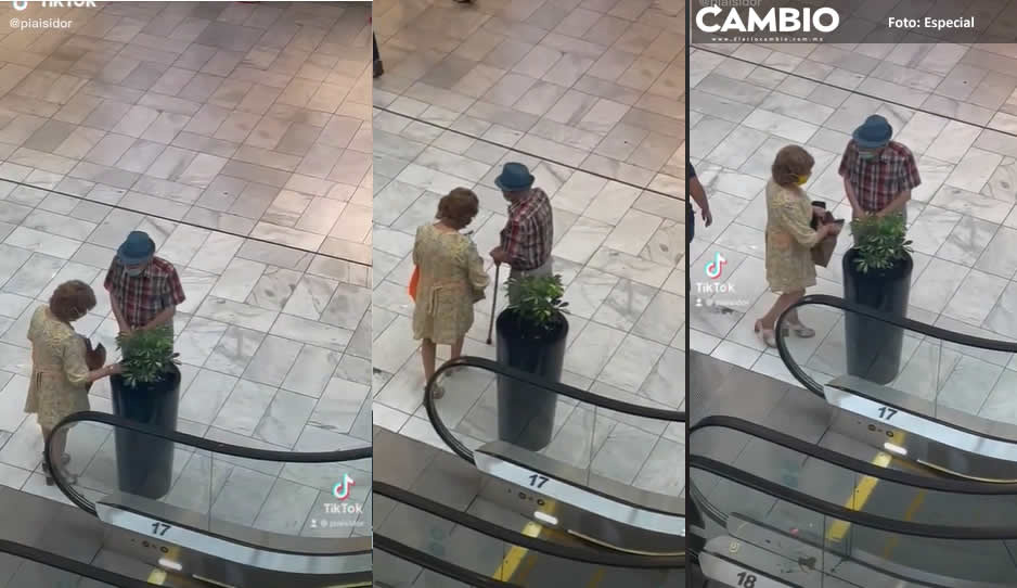 Doñita se roba plantas en centro comercial y se vuelve tendencia (VIDEO)