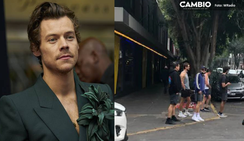FOTOS: Aseguran en redes que Harry Styles paseó por Chapultepec