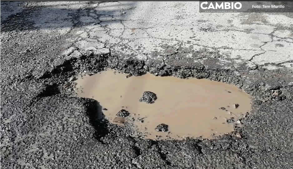 Movilidad e Infraestructura no tiene presupuesto para reparar las calles dañadas de Puebla: Edgar Vélez