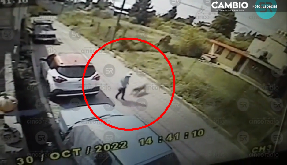 VIDEO: Perros pitbull atacan salvajemente a mujer en Cuautlancingo