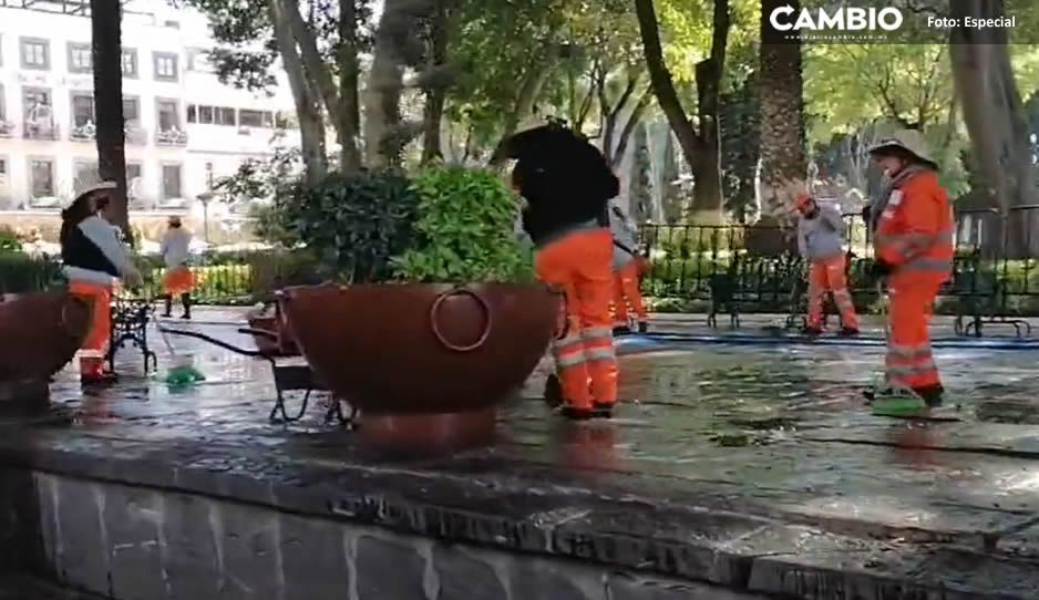 ¡Por fin! Mañana terminan la remodelación del Zócalo, naranjitas ya lo están limpiando (VIDEO)