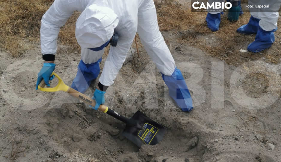 Insólito: juez ordena exhumar a perro para establecer la causa de muerte en barrio de San José