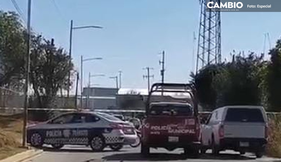 5fc80e96-38c6-4c58-b185-25e0ddbea84c.jpg