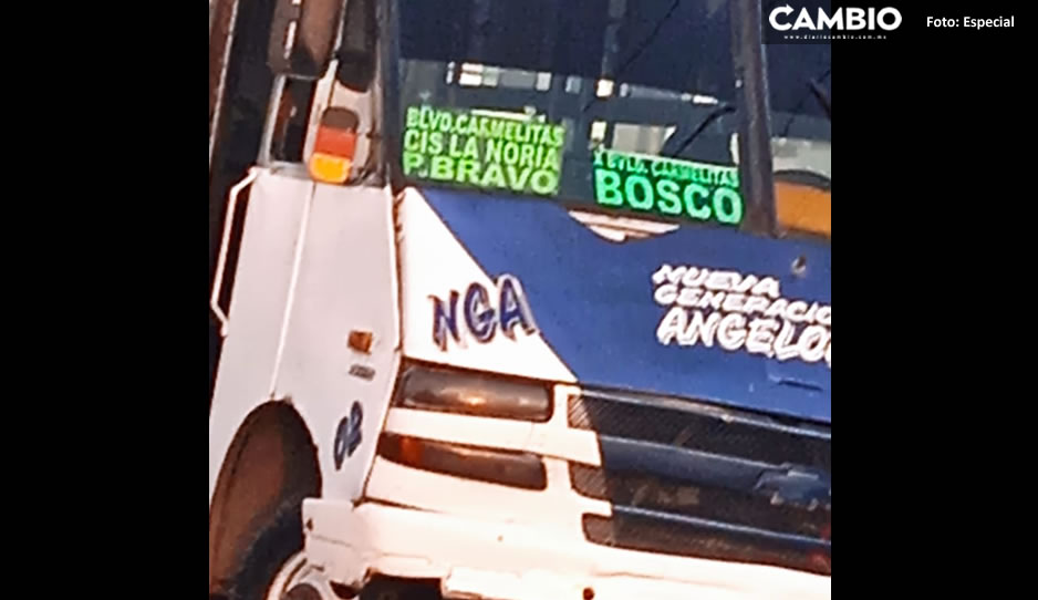 ATROPELLADO NGA 2.jpg