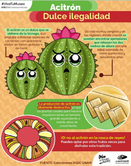 Foto principal DC (8)dfs.png