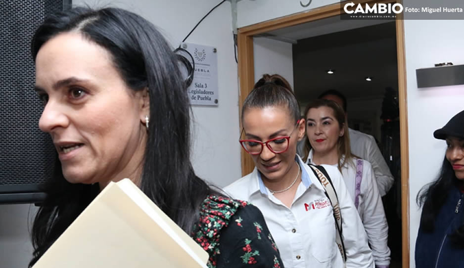 amanda diputados1.jpg