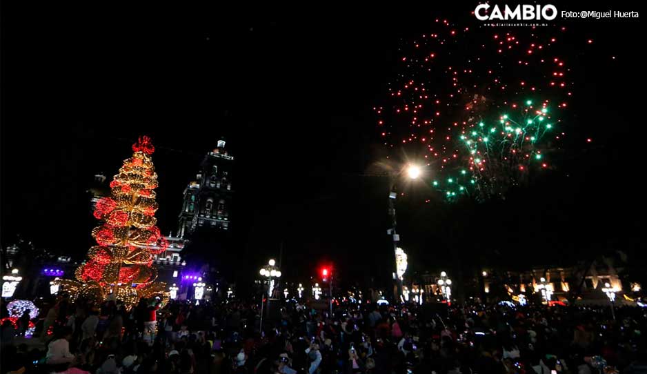 arbol1.jpg