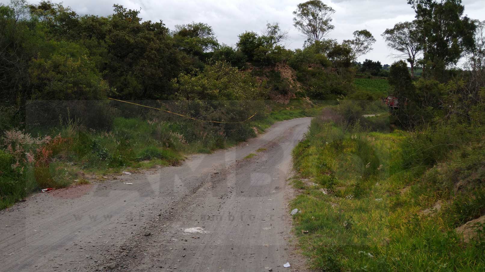 barranca1.jpg