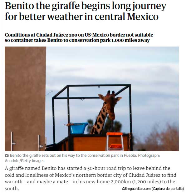 benito3.jpg
