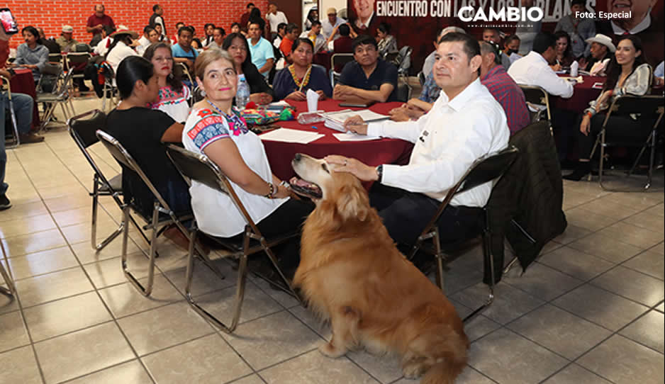 boletin de armenta 10 3.jpg