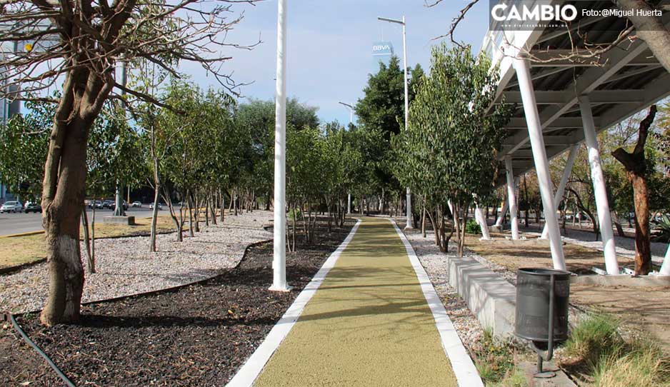 ciclopista1.jpg
