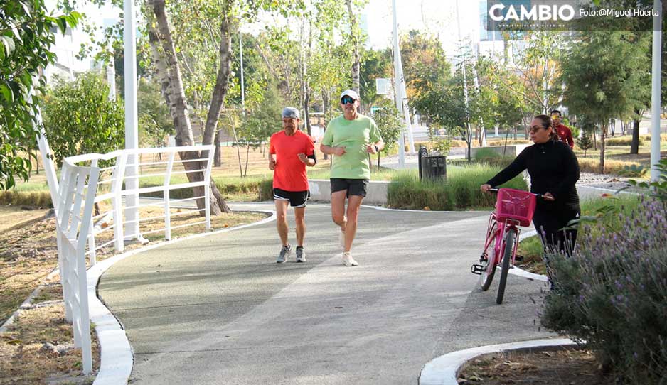 ciclopista2.jpg
