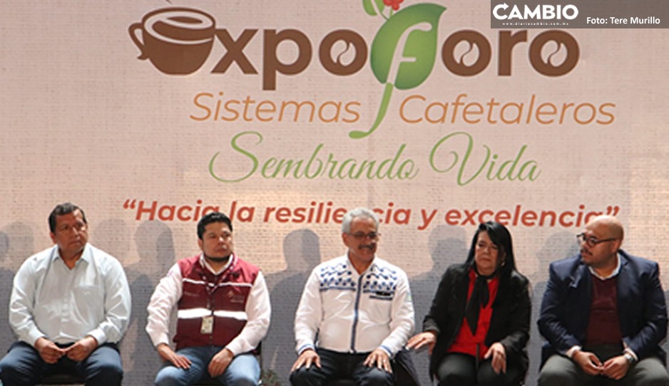 dbe4490e-7f7c-4cd6-a753-094cacbccd59.jpg
