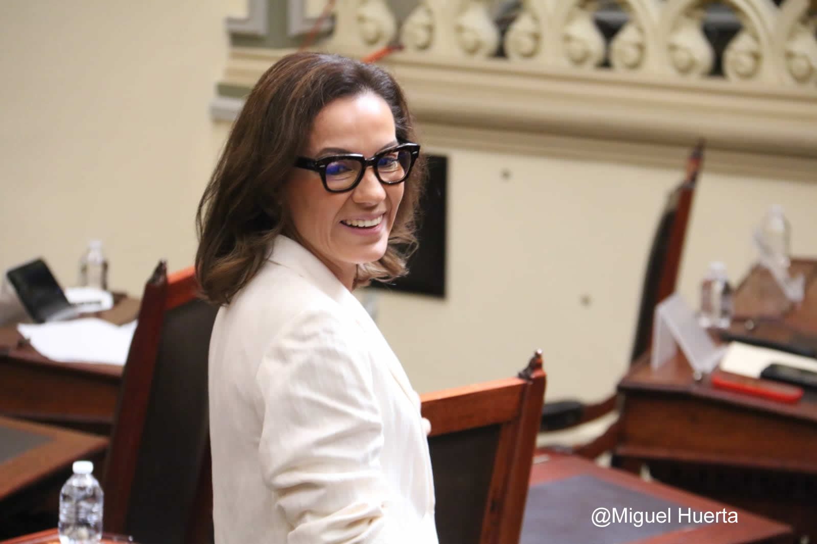 diputada1.jpg