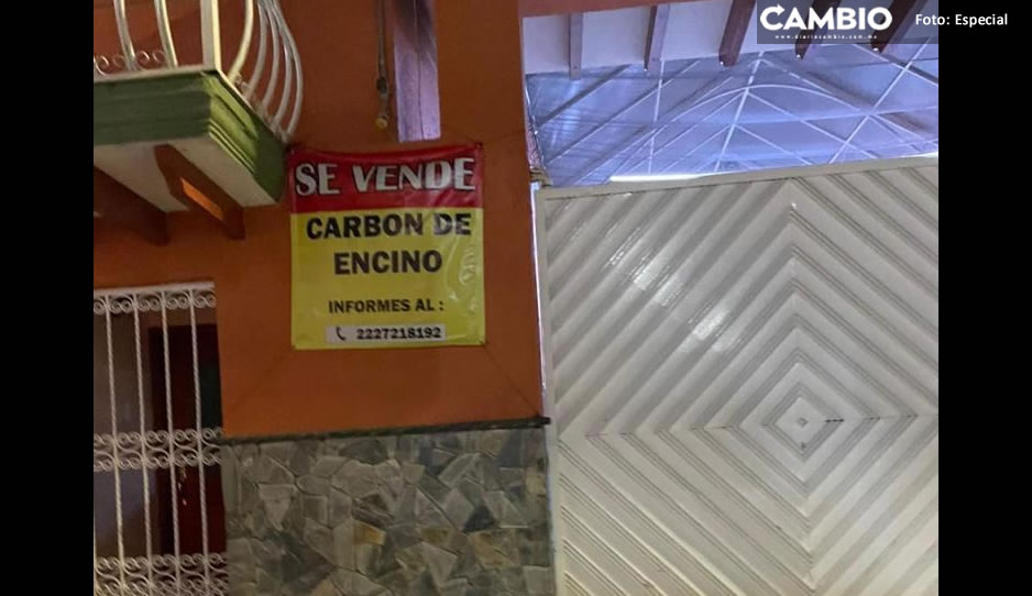 ecocidio tlachi 2.jpg