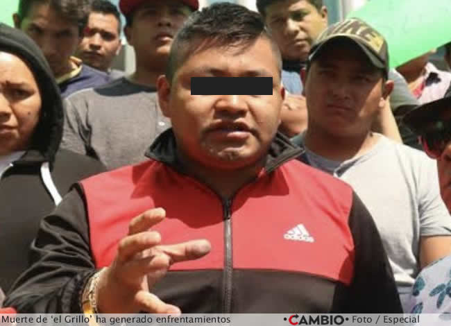 muerte el grillo provoca enfrentamientos