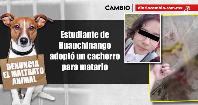 animalitos viven brutalidad poblana en 2023 estudiante huauchinango
