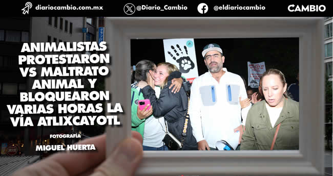hechos mas relevantes 2023 fotos equipo cambio animaistas maltrato b