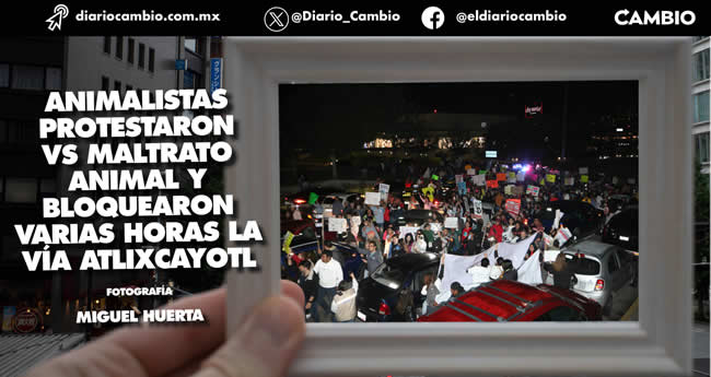 hechos mas relevantes 2023 fotos equipo cambio animalistas maltrato
