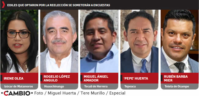 ediles optaron reeleccion encuestas