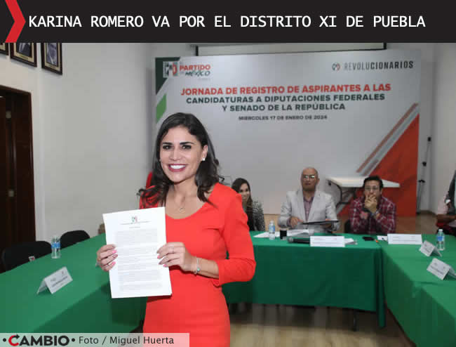 registro diputaciones federales pri karina romero