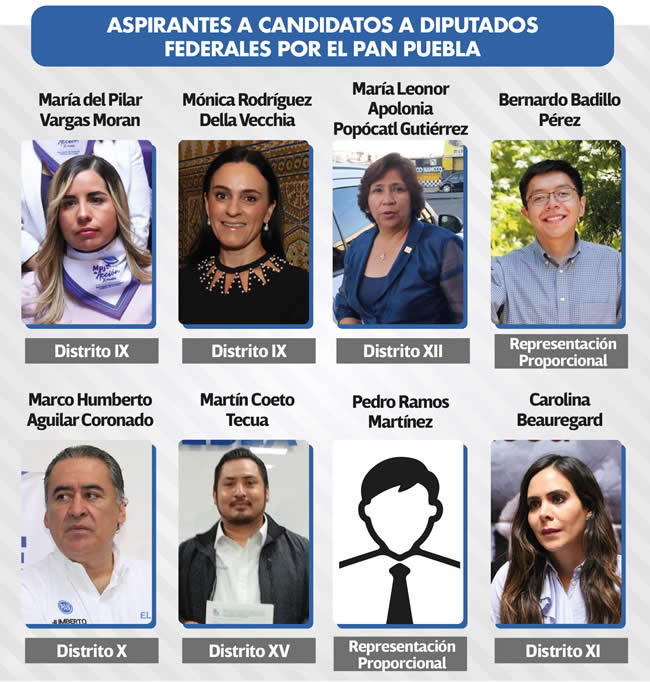 aspirantes candidatos a diputados federales pan puebla