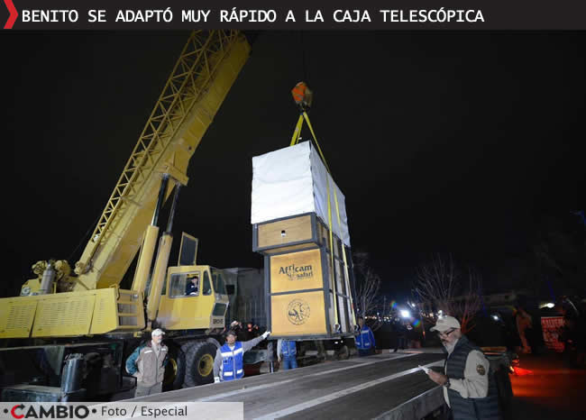 inicia viaje jirafa benito africam safari puebla adaptacion caja