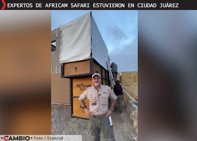 inicia viaje jirafa benito africam safari puebla expertos