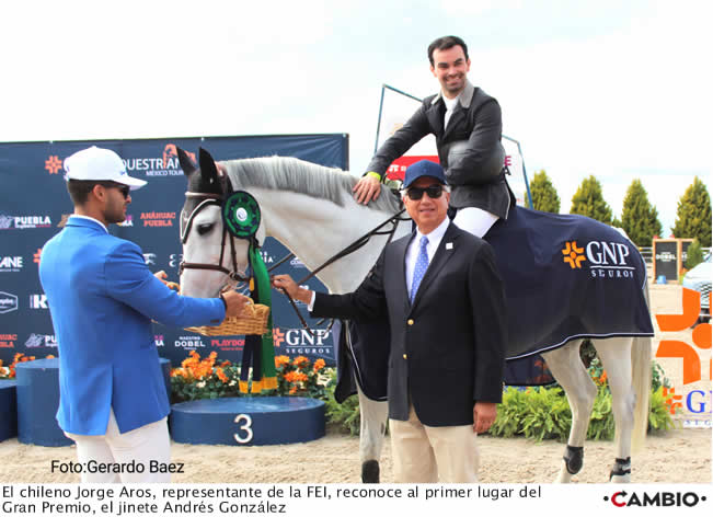 bole haras4