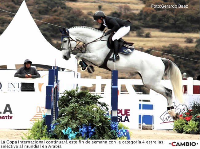 bole haras5
