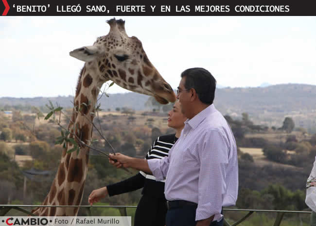 sergio salomon directivos africam safari dan bienvenida a benito 