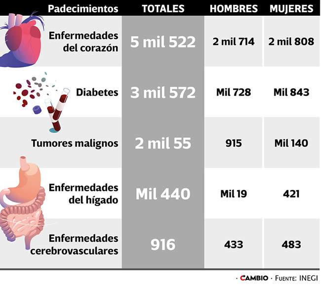 enfermedades principales causas muerte poblanos