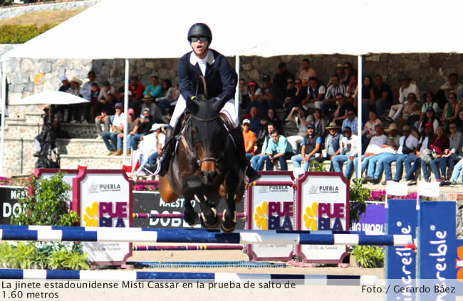 bole haras 1