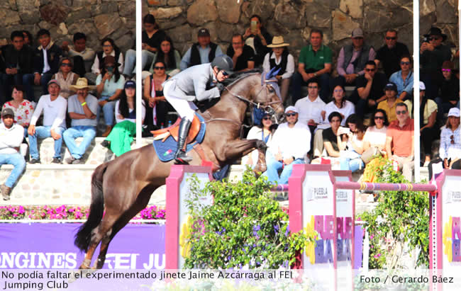 bole haras 6
