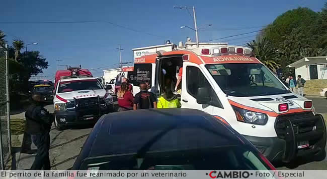 explosion san miguel mayorazgo boiler familia perrito reanimado