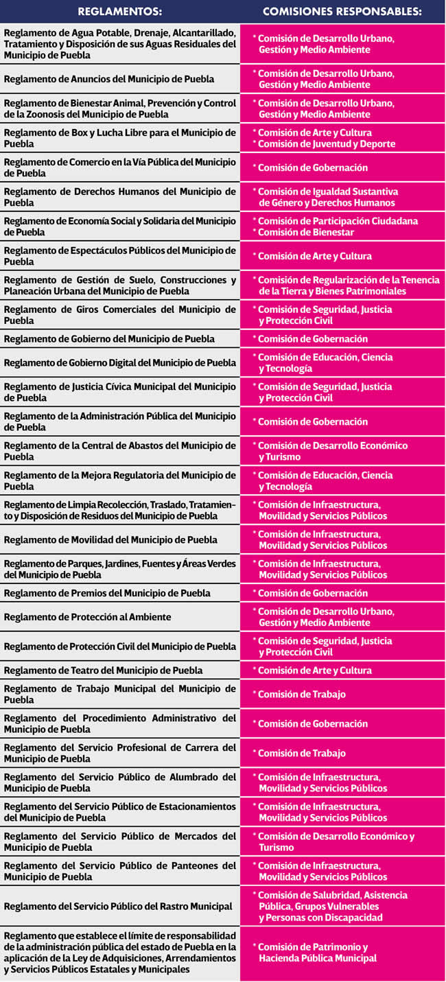reglamentos sustituyen coremun puebla