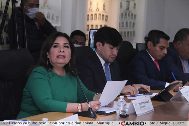 comparecencia secretaria medio ambiente beatriz manriquez