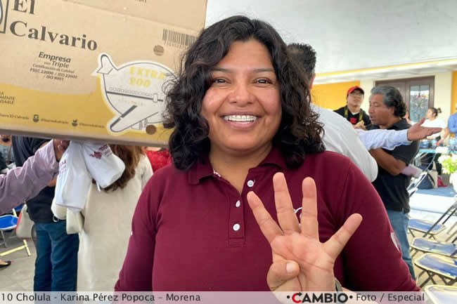candidatos diputaciones federales morena pt pvem karina perez
