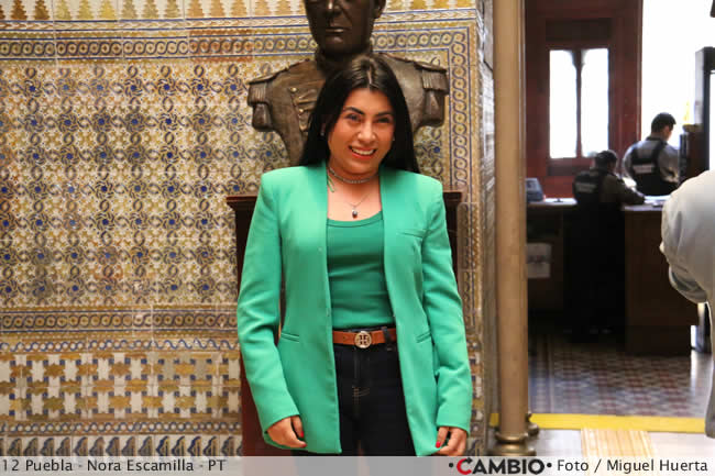 candidatos diputaciones federales morena pt pvem nora escamilla
