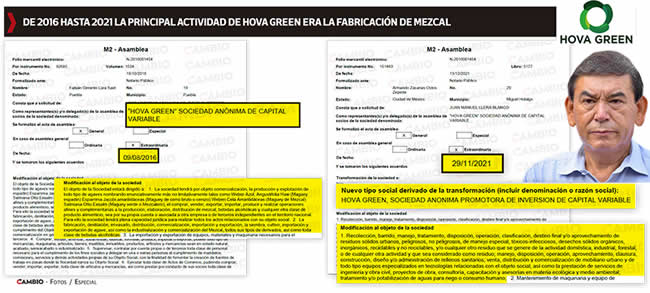 documentos 2016 2021 actividad economica hova green