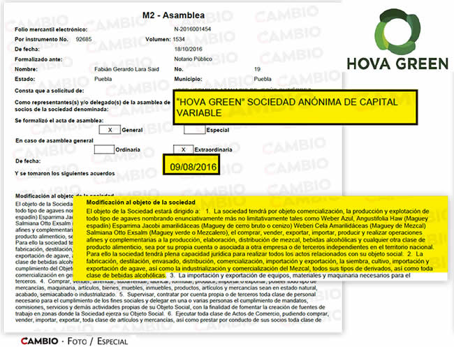 documentos actividad economica hova green mezcal