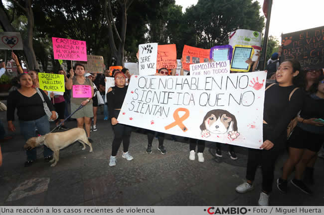protesta animalistas muerte huellitas violacion muneca 