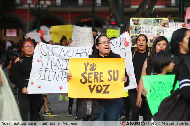 protesta animalistas muerte huellitas violacion muneca puebla